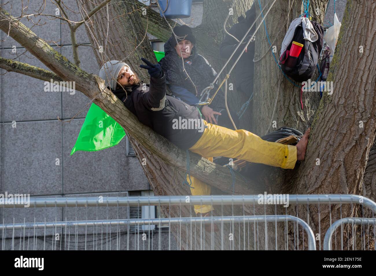 London, UK. 23rd Feb 2021. Tree-huggers Marcus Decker and "Platform Maria" hail from a 100-year-old black poplar tree. It is the second day of “tree-sitting” at London’s York Gardens, Battersea. In a bid to save the tree from felling, three activists have occupied it. The tree was due for felling as part of the local housing regeneration scheme by the council and Taylor Whimpey Homes. Stock Photo