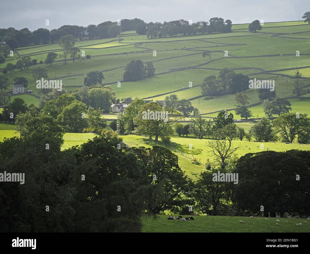 a view across landscape with patchwork of green farm fields, leafy trees and dry-stone walls below grey sky in rural hilly Cumbria, England, UK Stock Photo
