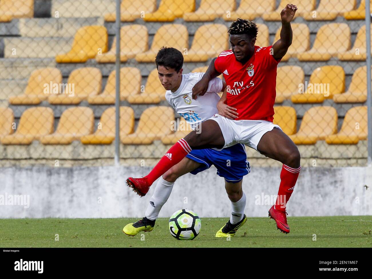 Vila Franca de Xira, 05/19/2019 - Alverca Football Club received this  afternoon the Sport Lisboa e Benfica in the Sports Complex of Alverca, in  game to count for the 12th Game of