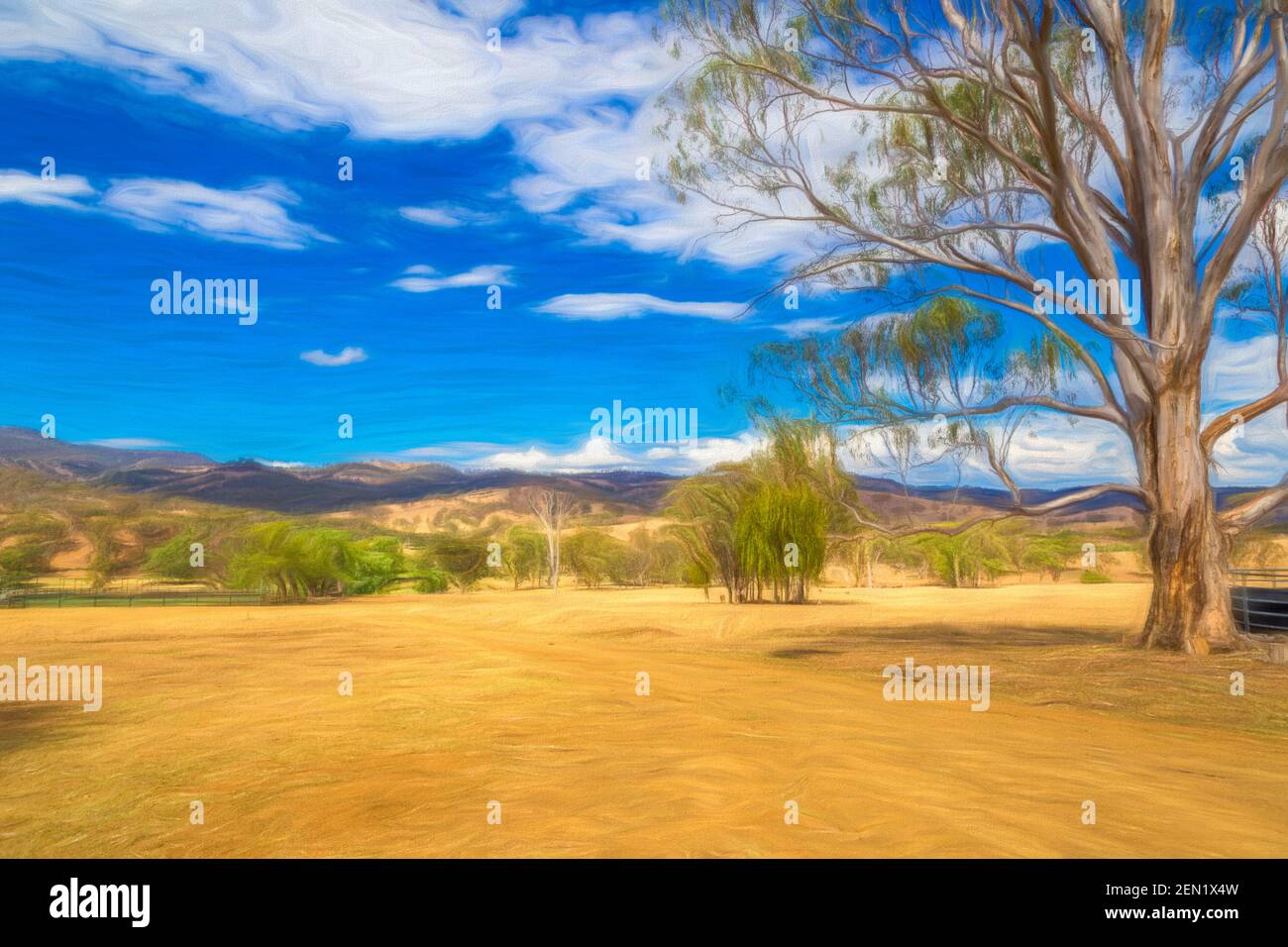 Digital painting of farmland in the Upper Hunter, NSW, Australia.. Stock Photo