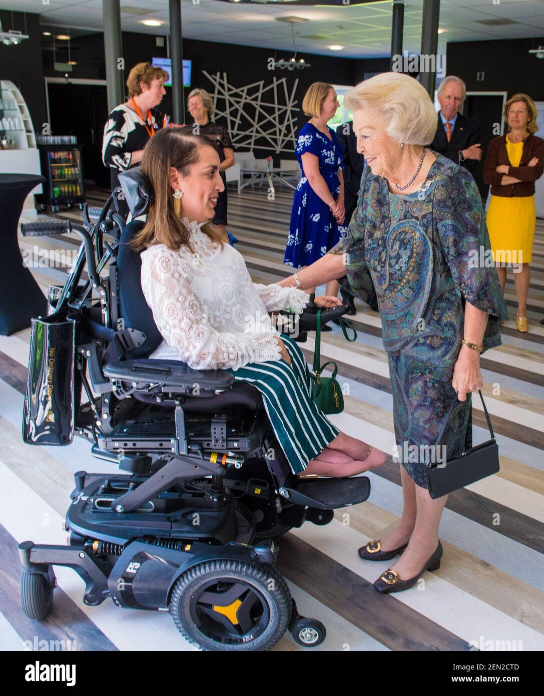 Princess Beatrix of the Netherlands present in Zeist at the symposium ...