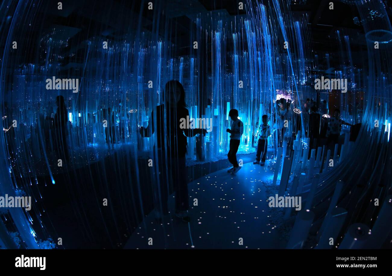 Visitors view an immersive digital art exhibition themed around big ...