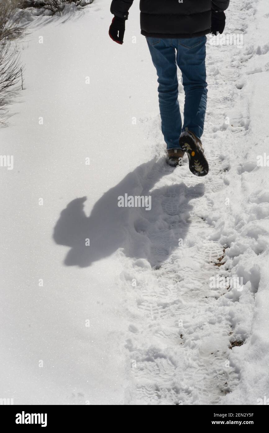 A woman walks along a snow-covered nautre trail in Santa Fe, New Mexico. Stock Photo