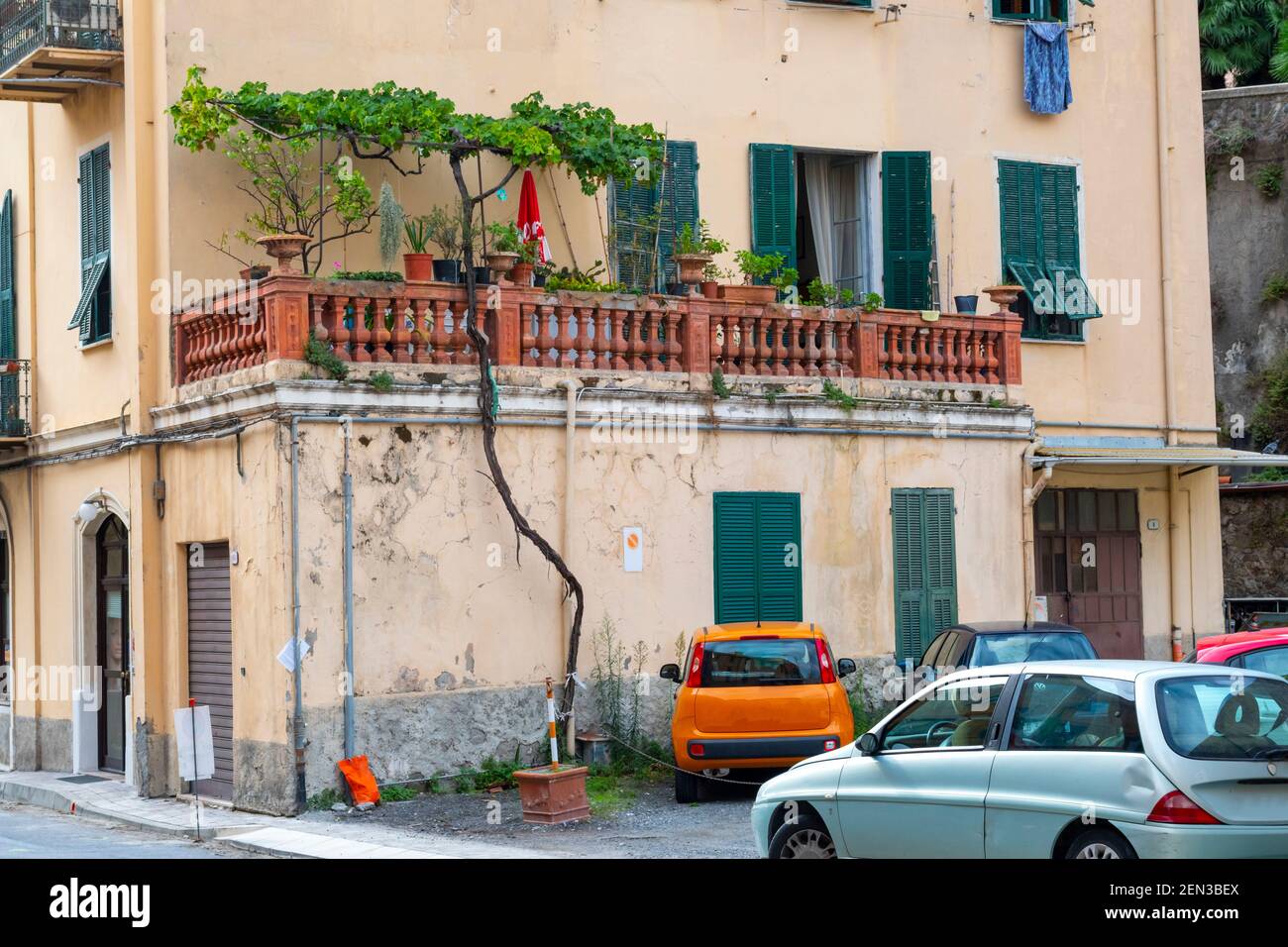 A tall, skinny tree grows up from a concrete parking lot alongside an apartment in the old town city of Ventimiglia, Italy, on the Italian Riviera. Stock Photo