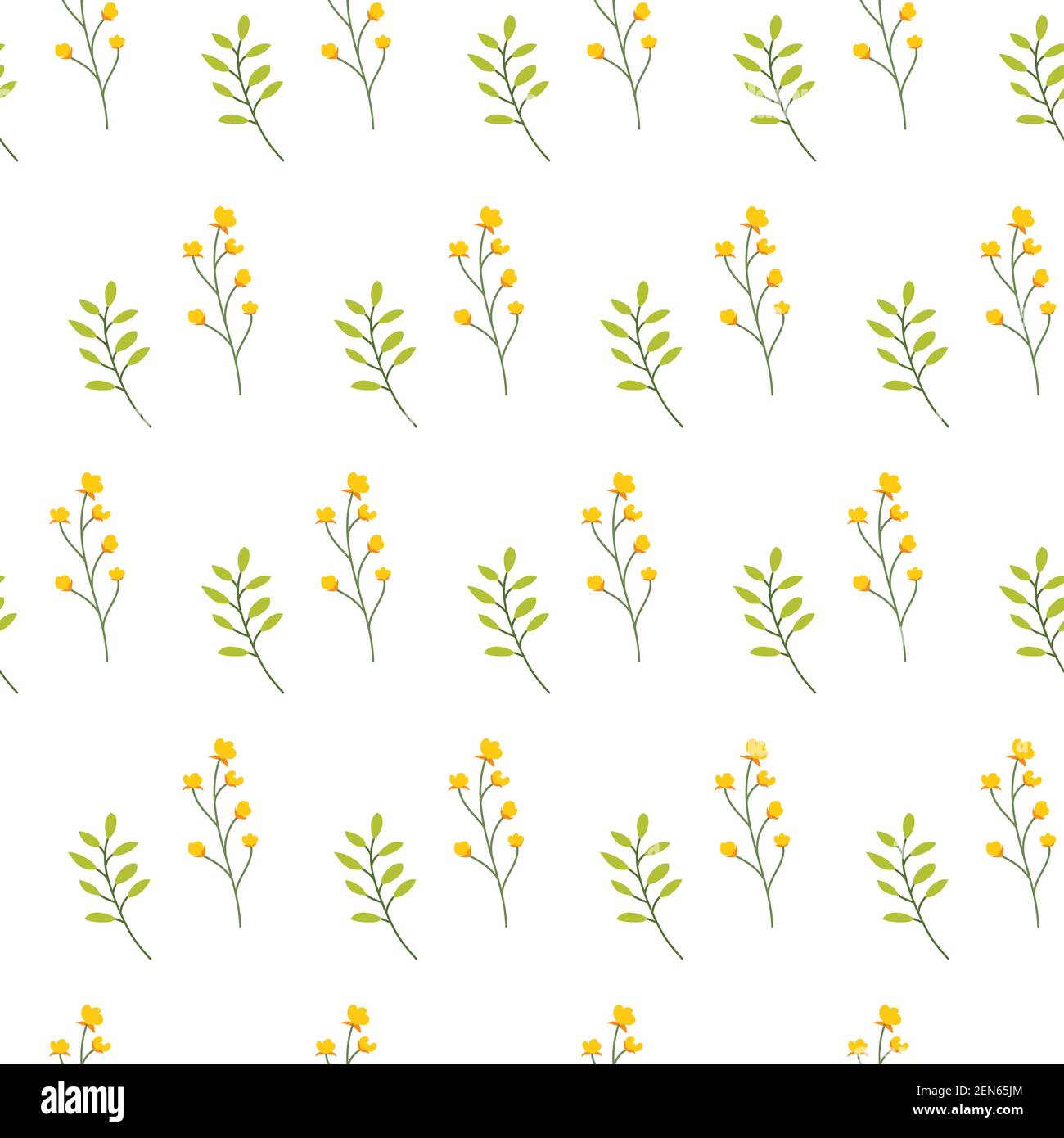 Floral seamless pattern with flowers and leaves on white background ...