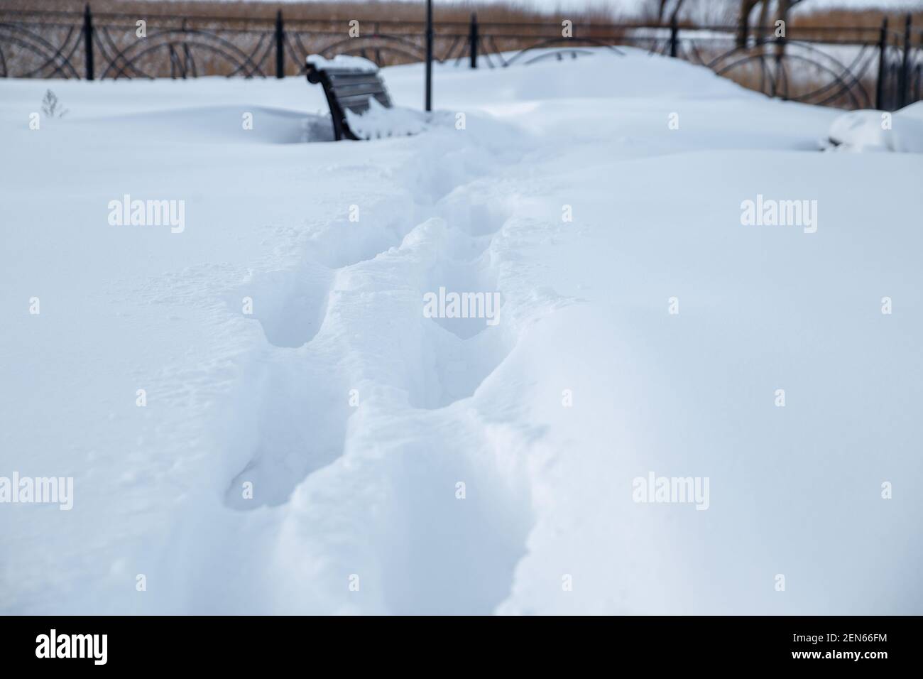 Human traces snow landscape hi-res stock photography and images - Alamy