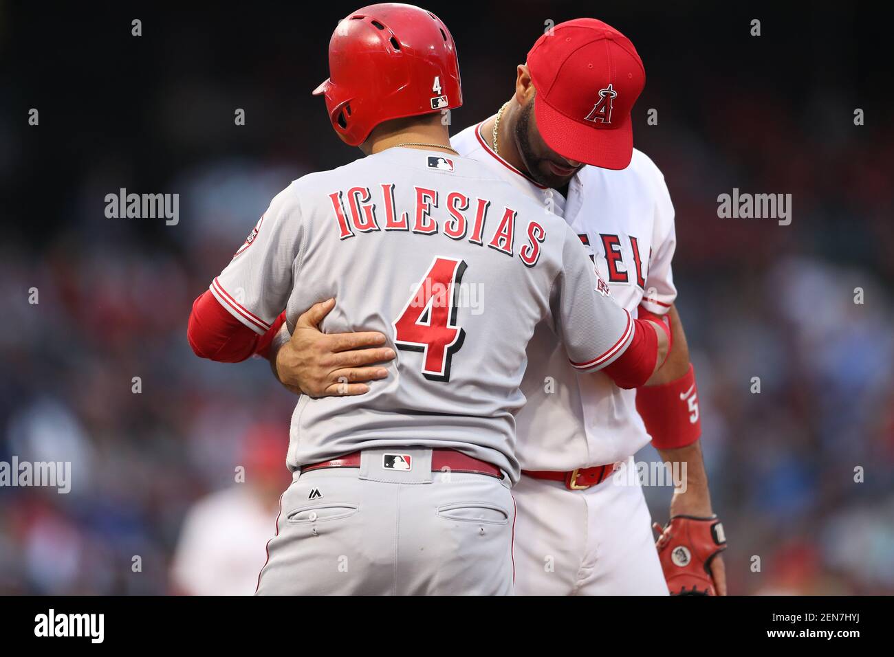 Albert Pujols, Los Angeles Angels, MLB, baseman, baseball, Jose