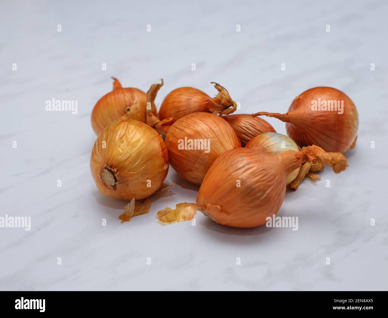 Heads at surface hi-res stock photography and images - Alamy