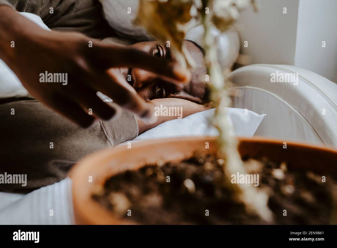 Young man looking at plant while lying on bed Stock Photo
