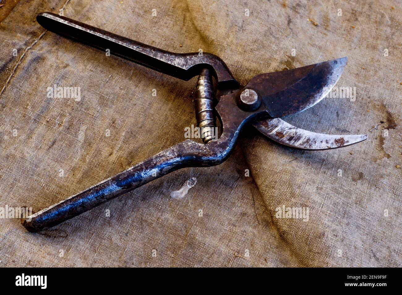 Vintage shears, France Stock Photo Alamy