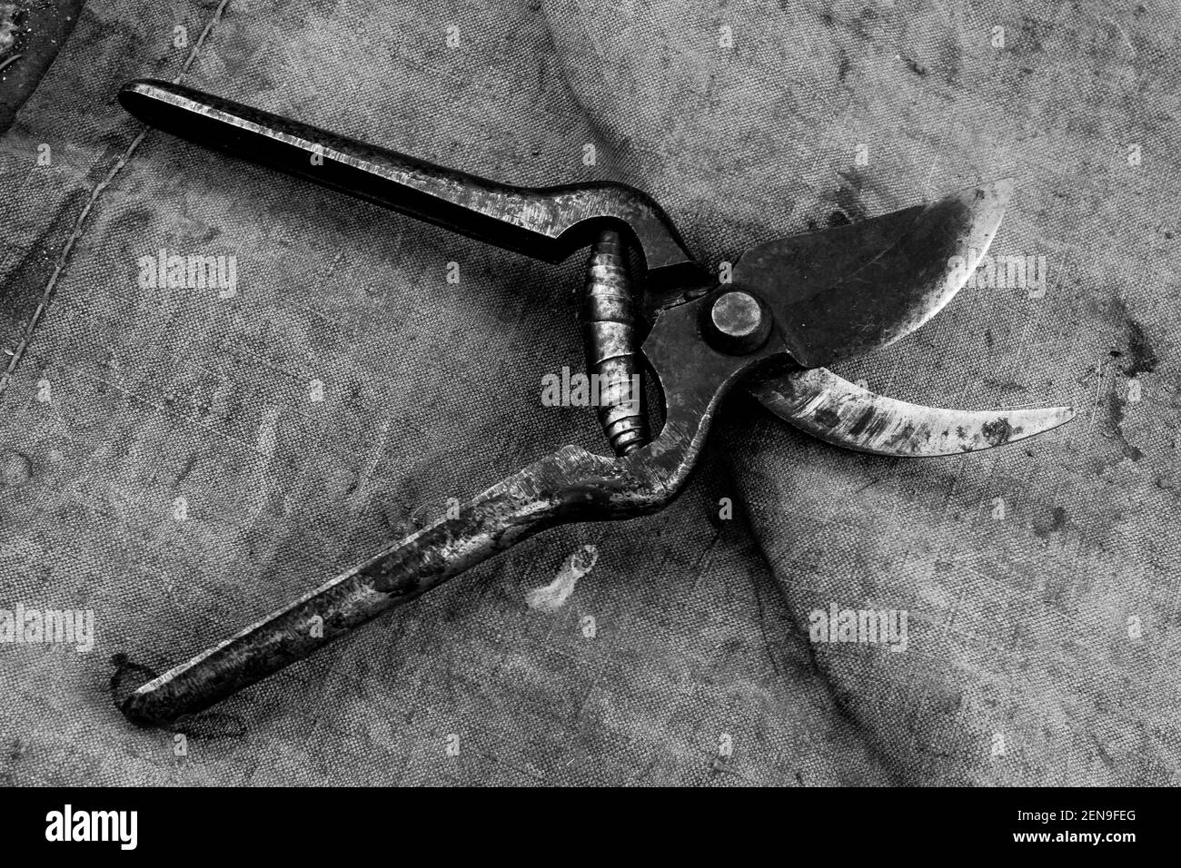 Vintage shears, France Stock Photo Alamy