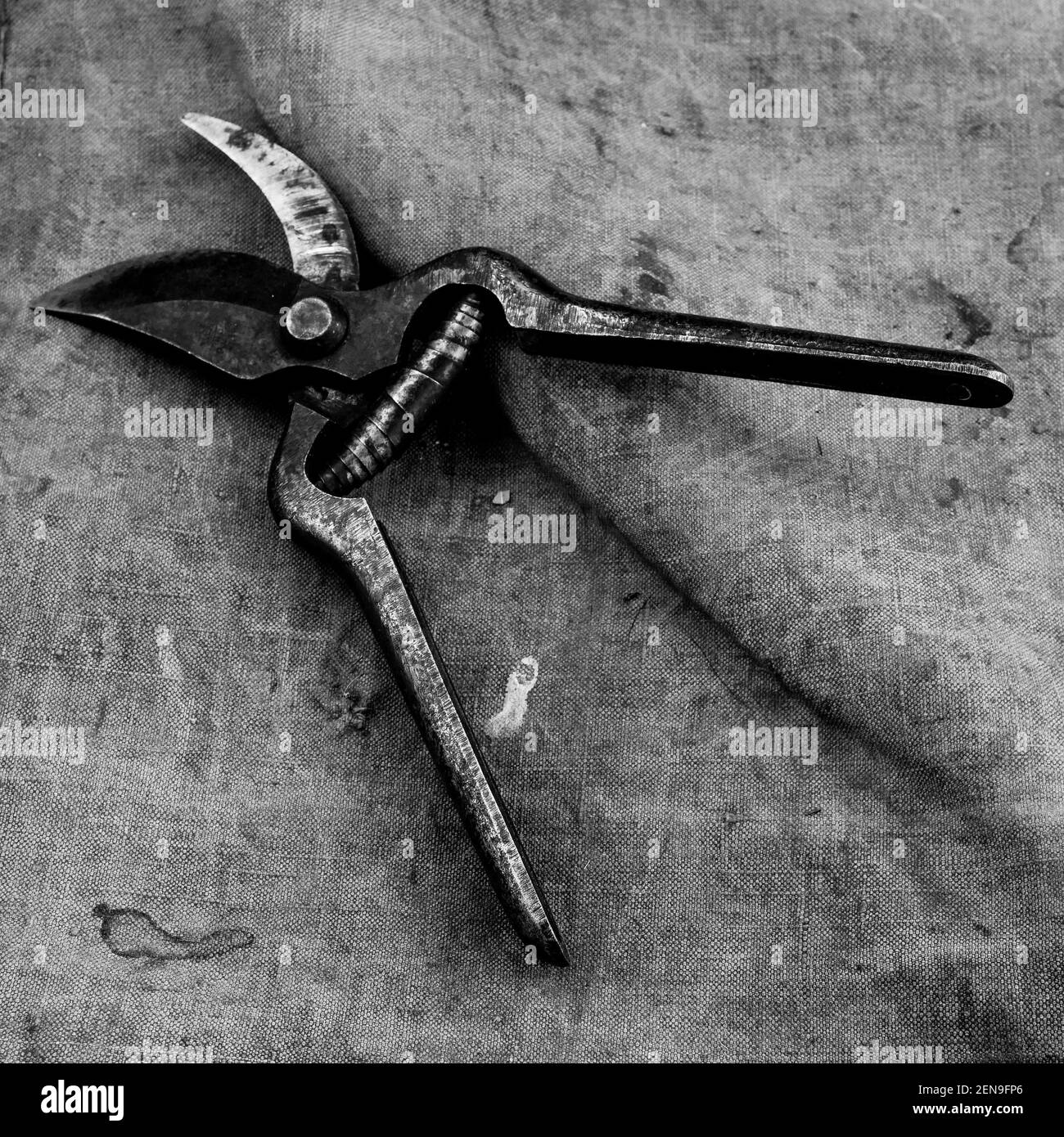 Vintage shears, France Stock Photo Alamy