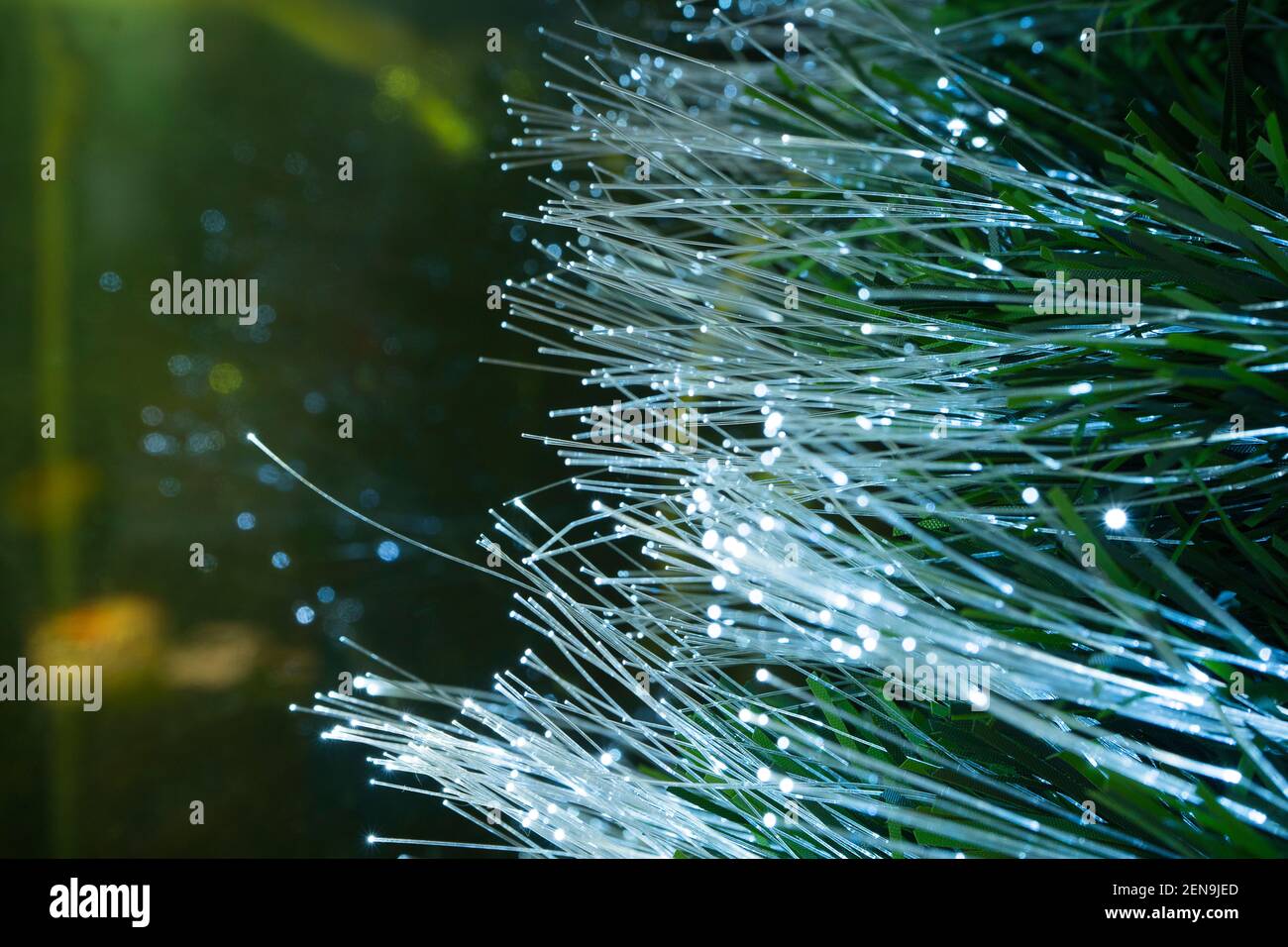 Fibre Optics Abstract High Resolution Stock Photography and Images - Alamy