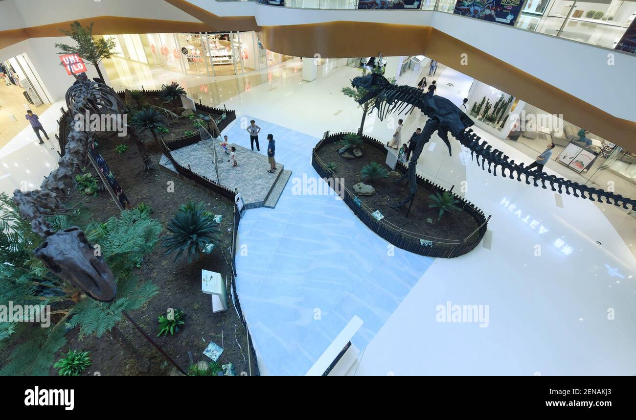 Rex China Zhejiang, China - July 16 2019: A customer looks at the fossilized ...