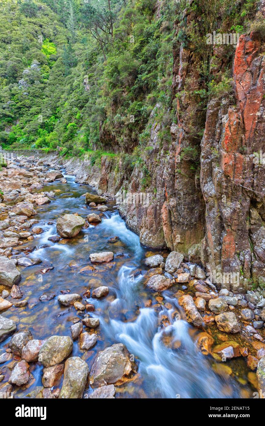 Karangahake Gorge, New Zealand. The rocky Waitawheta River flows at the bottom of a deep valley Stock Photo