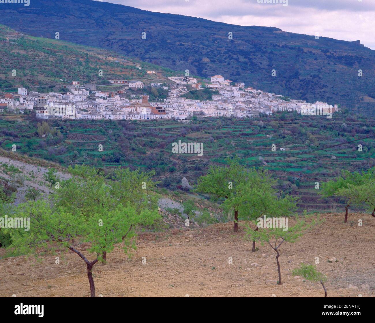 PANORAMICA DEL PUEBLO. Location EXTERIOR. Mairena. GRANADA. SPAIN