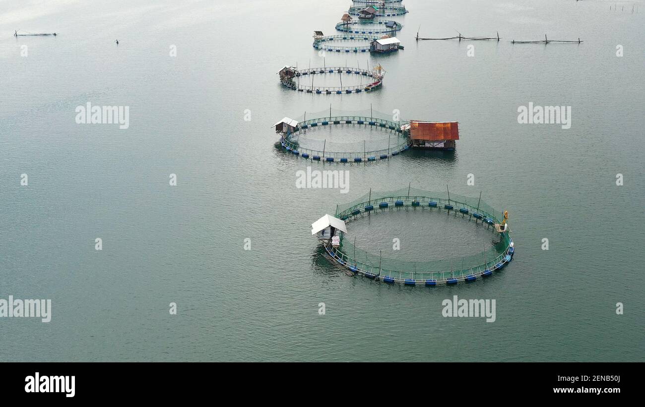 Fish farm with cages for fish and shrimp in the Philippines, Luzon. Aerial  view of fish ponds for bangus, milkfish. Fish cage for tilapia, milkfish  farming aquaculture or pisciculture practices Stock Photo 