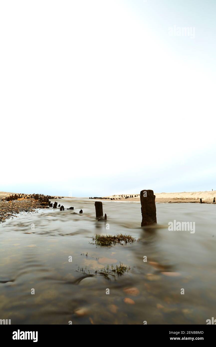 Sticks in the shoreline at the beach Stock Photo