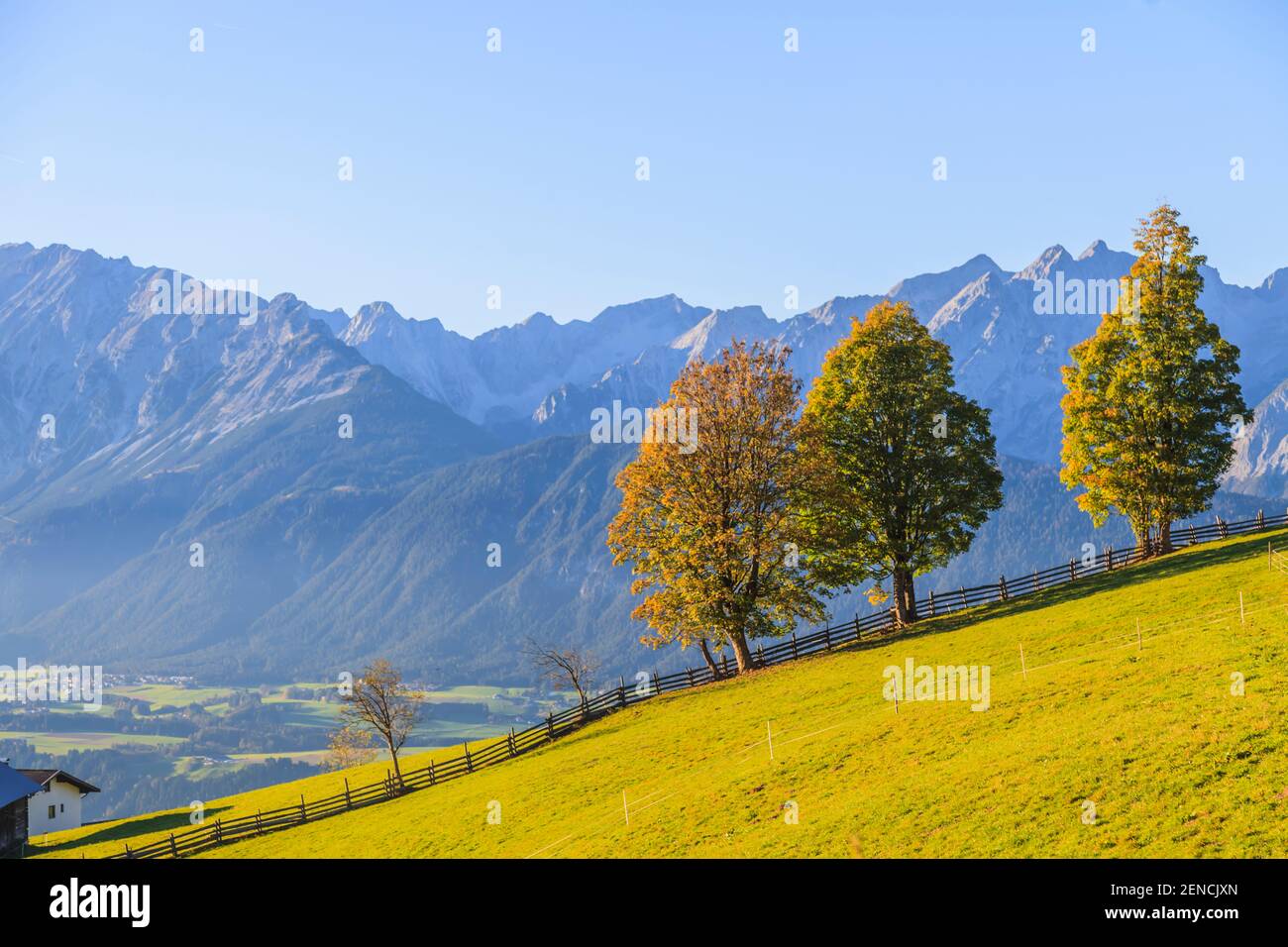 Photo of a lush alpine meadow with trees in front of the Karwendel mountain range photographed by Weerberg in June 2014 Stock Photo