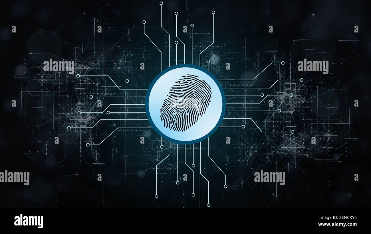 Fingerprint logo between information connecting lines - abstract background - security scanning identification system by biometric authorization Stock Photo