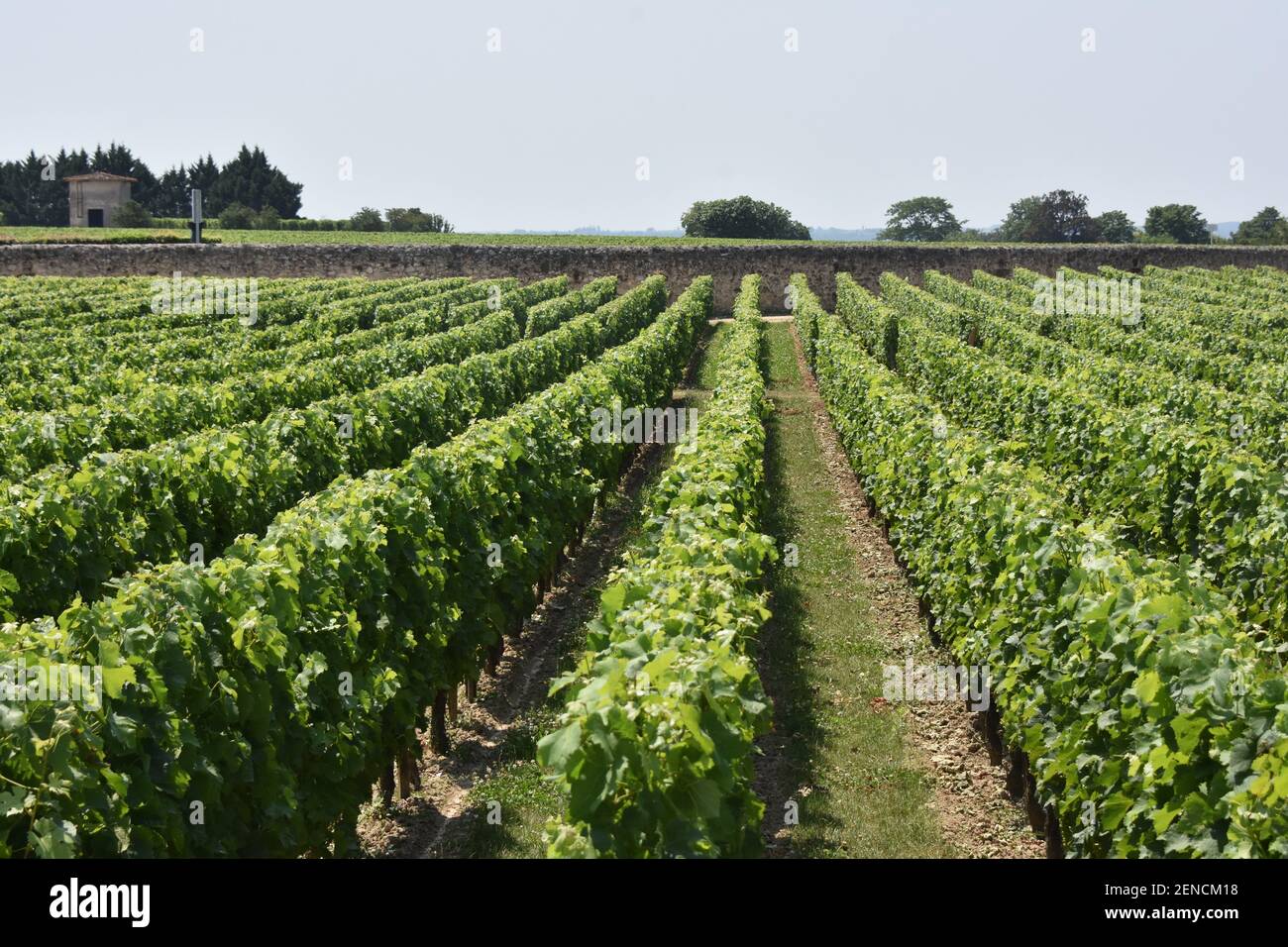 Wine country – Saint Emillon, France Stock Photo
