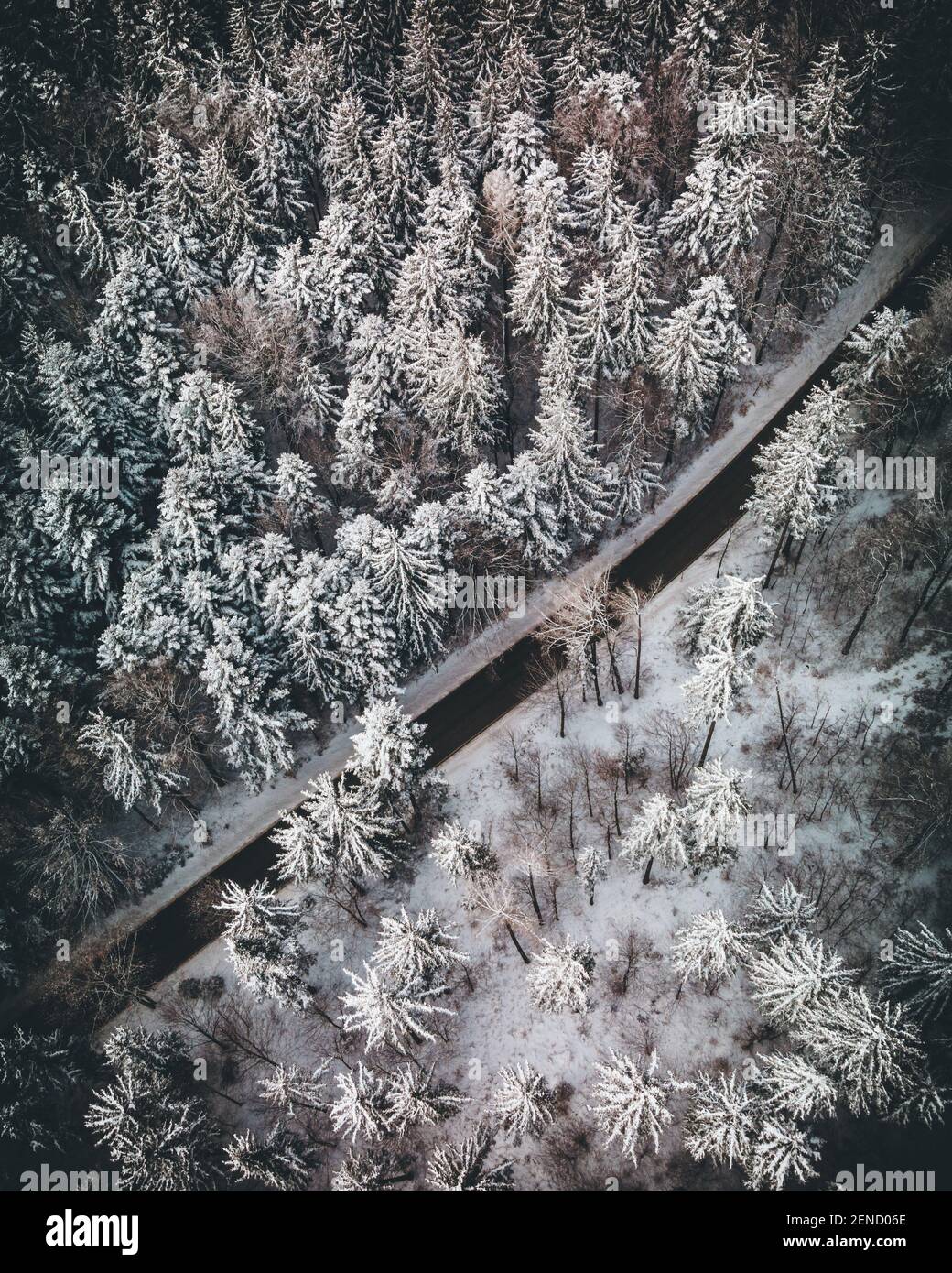 Aerial view of a snowy forest with high pines and road in winter Stock ...