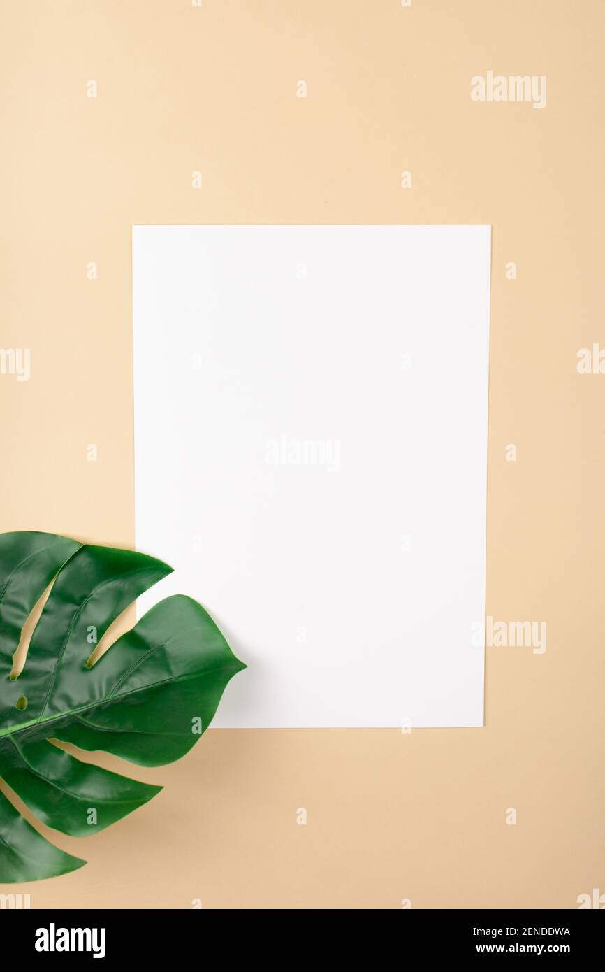 Mocup on a beige background. Empty white space for text. Advertising, design, post. Monstera, artificial plant flat lay Stock Photo