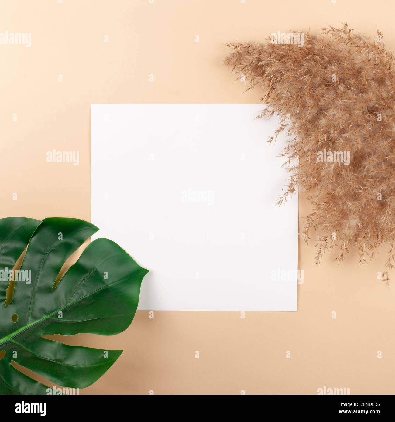 Mocup on a beige background. Empty white space for text. Advertising, design, post. Monstera, artificial plant flat lay Stock Photo