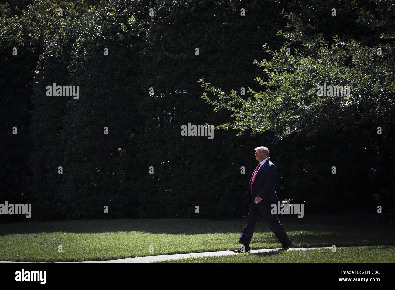 President Donald Trump walks out of the Oval Office before boarding Marine One from the South Lawn of the White House on August 1, 2019 in Washington, DC., for a trip to Cincinnati. (Photo by Oliver Contreras/SIPA USA) Stock Photo