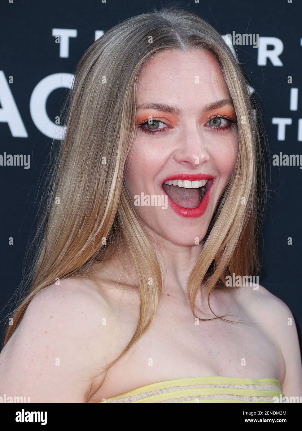 Amanda Seyfried Calls Being at 2021 Oscars The Twilight Zone