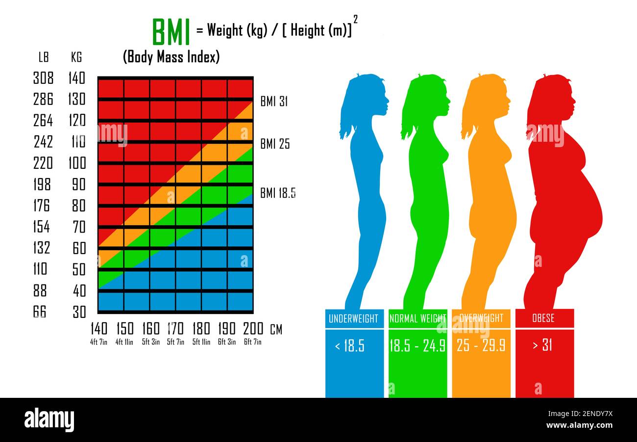 Body Mass Index (BMI) Chart in libs, kg, centimeters and feet. Formula to calculate  BMI. Illustration of different body type Stock Photo - Alamy