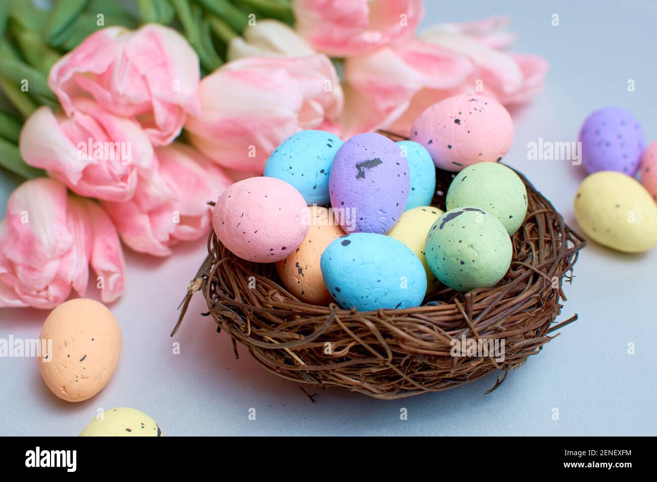 Beautiful pink tulips with colorful quail eggs in a nest on a light ...