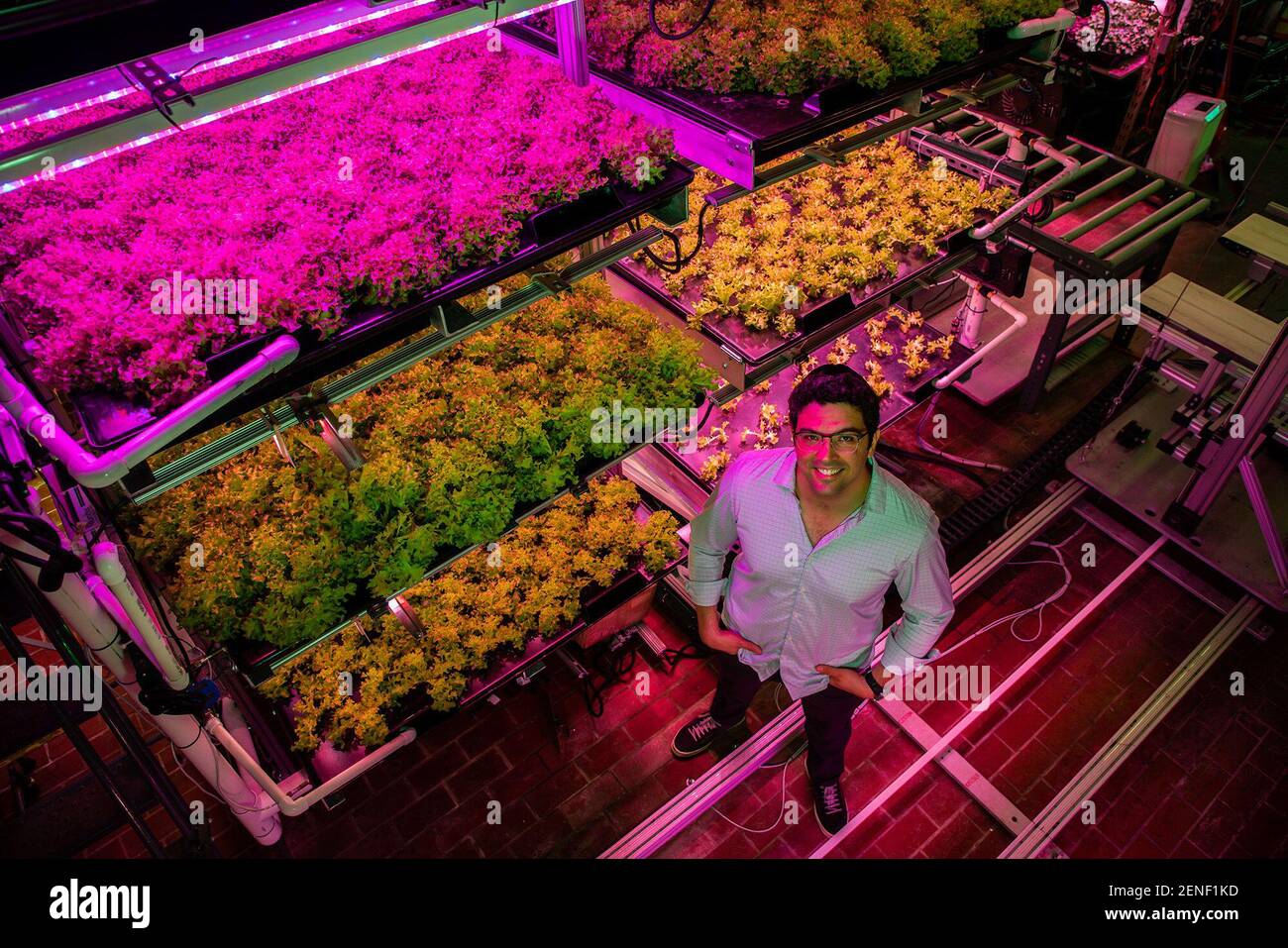 Jake Counne, founder of Backyard Fresh Farms, an indoor vertical ...