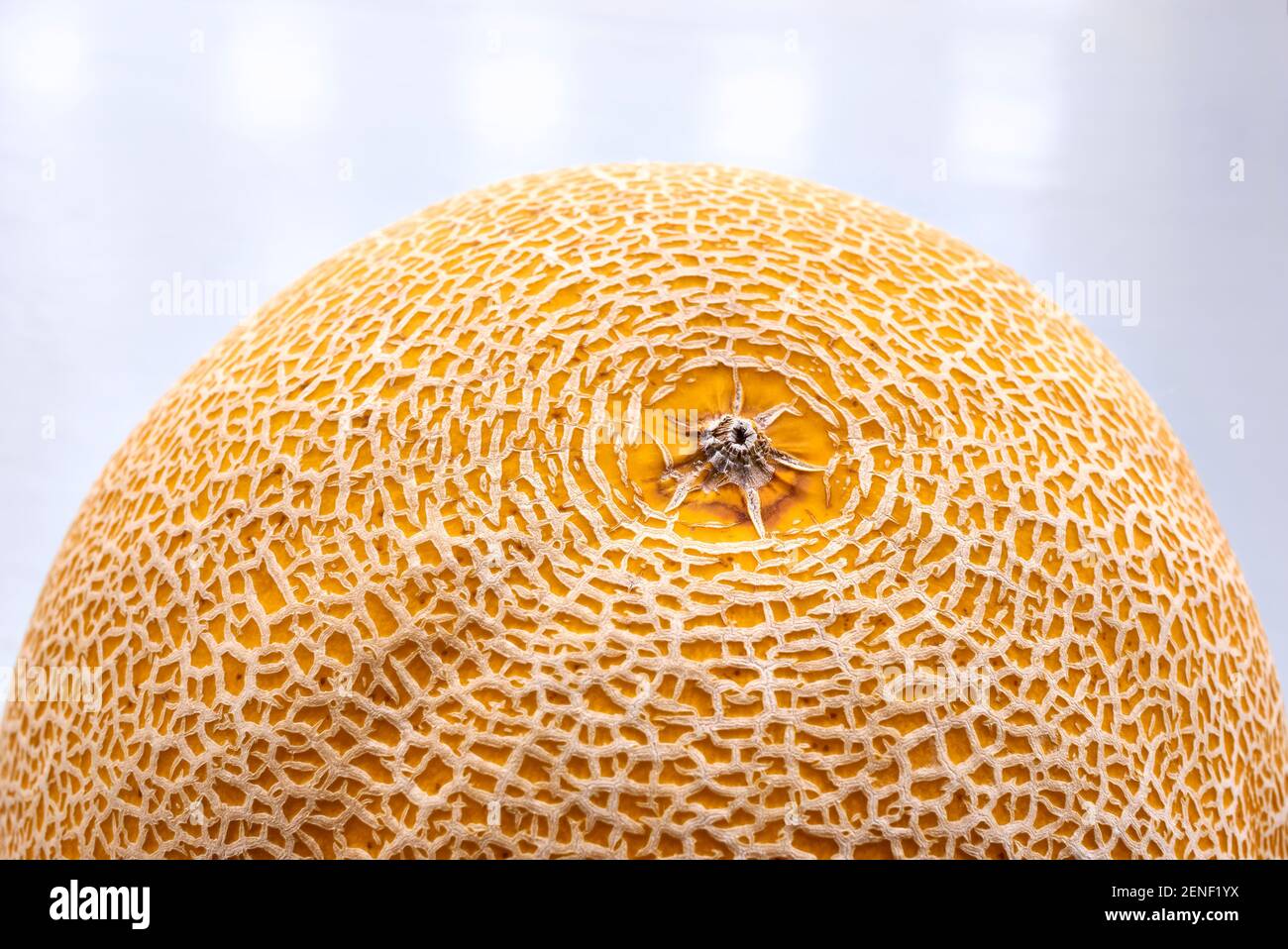 Closeup of yellow honeydew melon skin texture against a light background. Honeydew melon is the fruit of one cultivar group of the muskmelon. Stock Photo