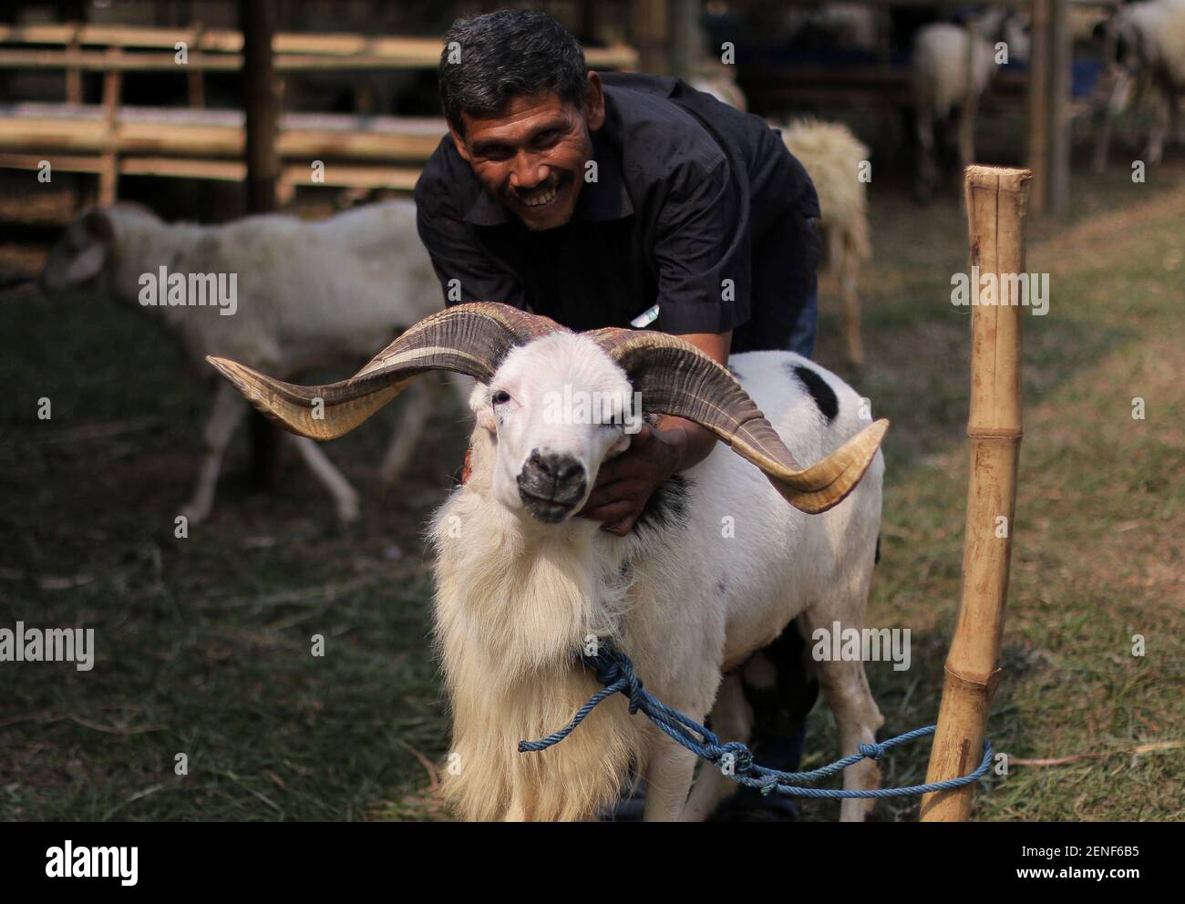 Traders are waiting for buyers of sacrificial goats in the area of ??sale of sacrificial animals in the City of Bogor, West Java, August 7, 2019. According to traders, Goat prices have Traders are waiting for buyers of sacrificial goats in the area of ??sale of sacrificial animals in the City of Bogor, West Java, August 7, 2019. According to traders, Goat prices have