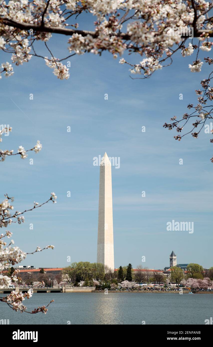 Spring Rice Monument Washington monument in spring hi-res stock photography and images - Alamy