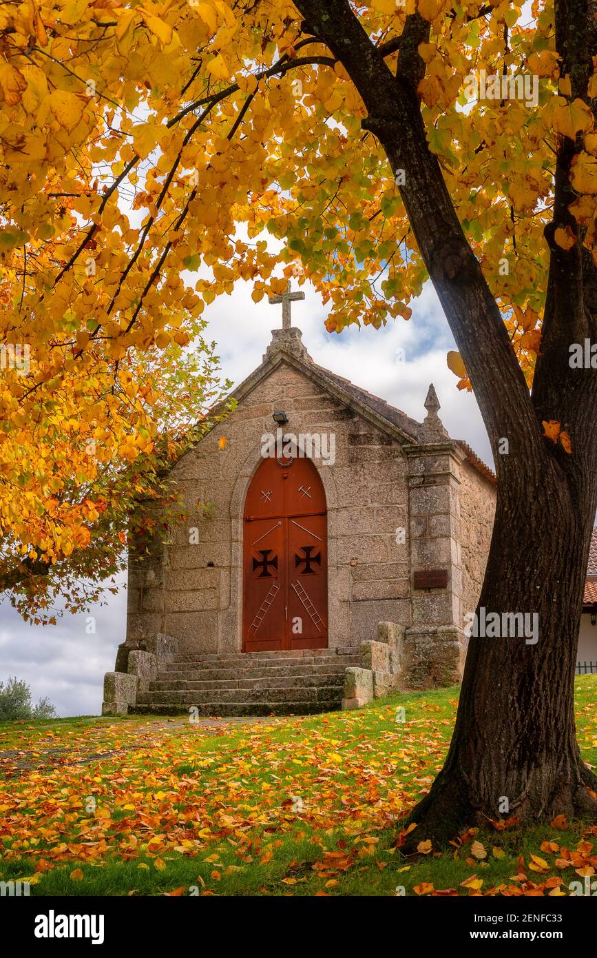 Belmonte Calvario chapel with beautoful yellow leaves autumn fall landscape, in Portugal Stock Photo