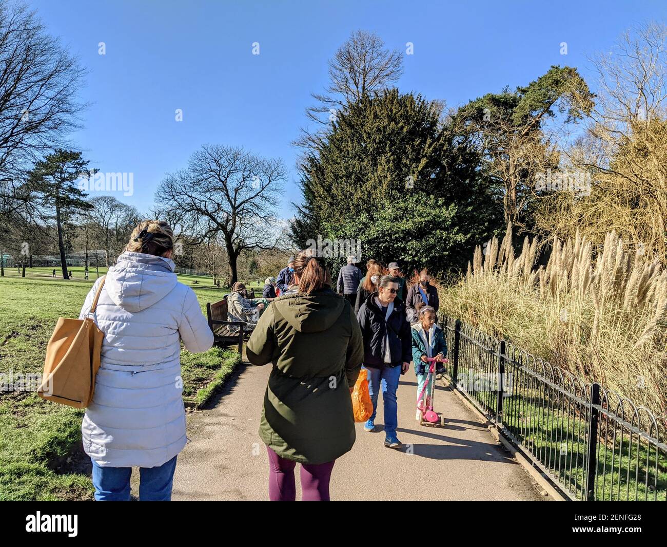 A crowded Golders Hill Park full of families and friends on a bright sunny day in February 2021 during England's covid19 lockdown. Golders Hill Park is part of Hampstead Heath. Stock Photo