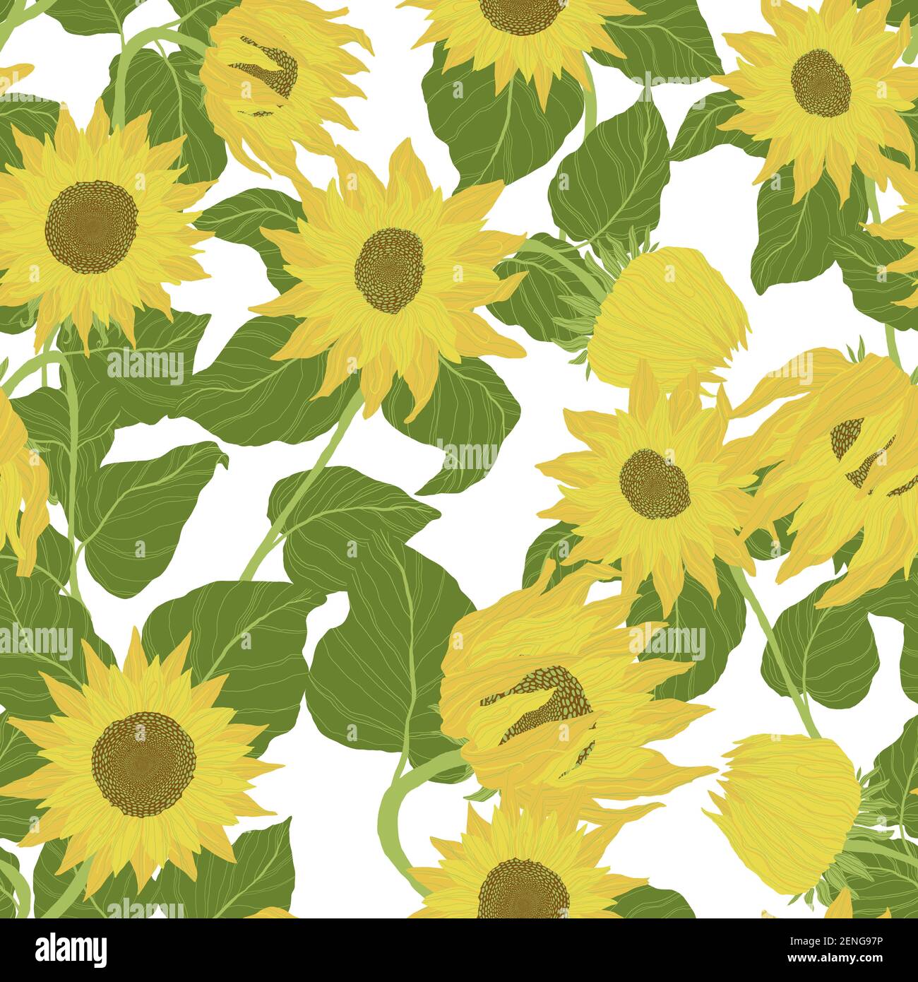 Seamless pattern with sunflowers on white background. Vector backdrop with yellow flower in cartoon flat design Stock Vector Image & Art - Alamy Seamless pattern with sunflowers on white background. Vector backdrop with yellow flower in cartoon flat design Stock Vector Image & Art - Alamy