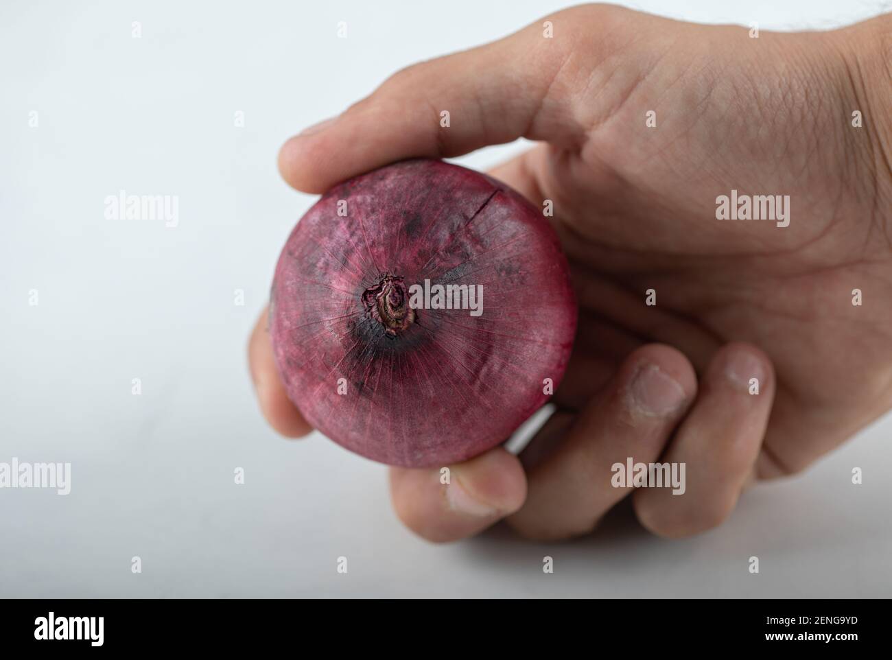 Male hand holding red ripe onion on white background Stock Photo