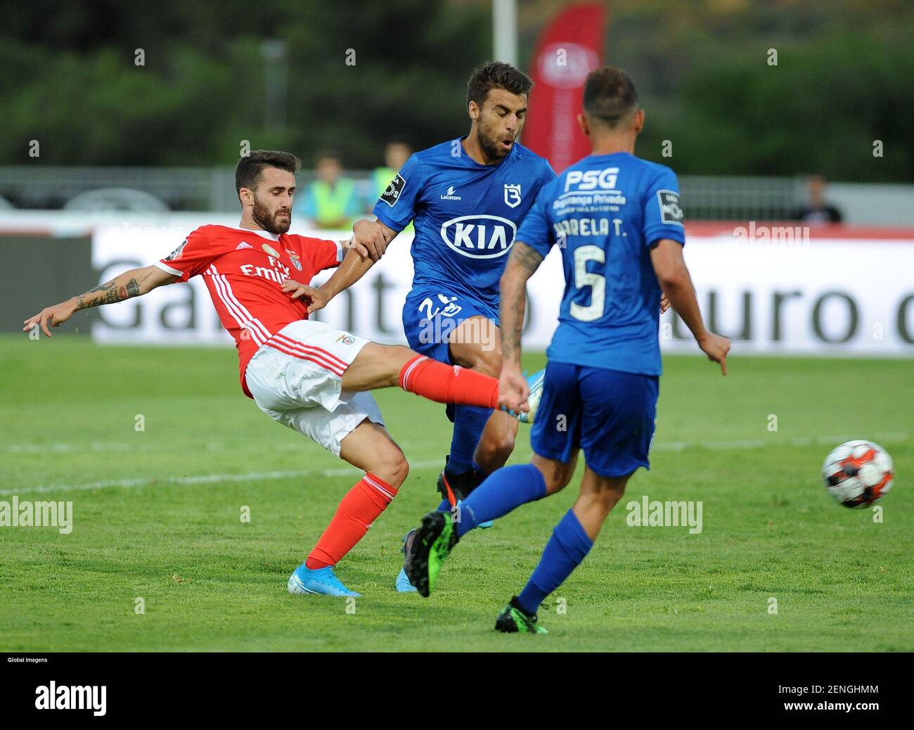 Oeiras 08 17 2019 Belenenses Sad Hosted Sport Lisboa E Benfica Tonight At Jamor Stadium In A Match Counting For The Second League Matchday 2019 20 Rafa A Lvaro Isidoro Global Images Sipa Usa [ 1038 x 1300 Pixel ]