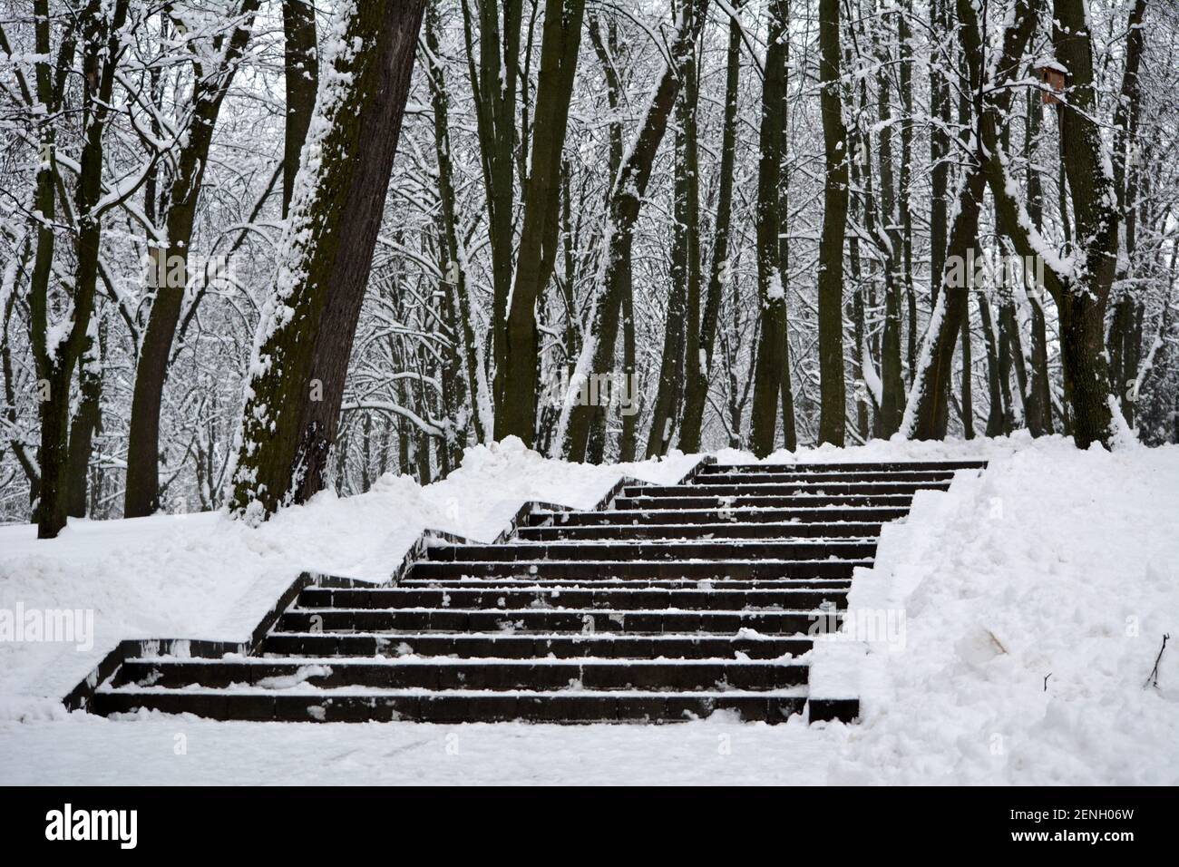 Steps In Snow Snowy steps hi-res stock photography and images - Alamy