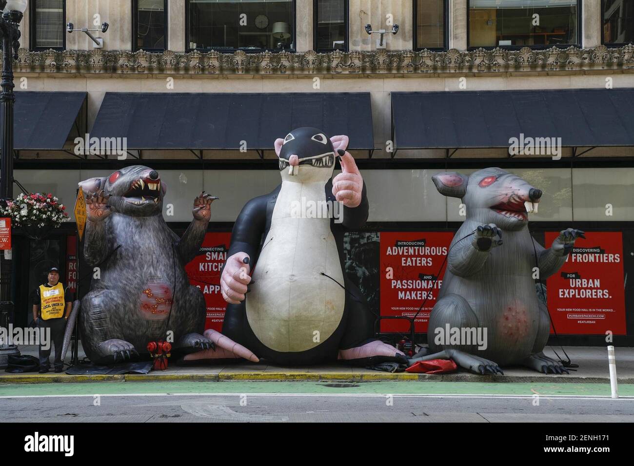 Several Inflatable Rats Sit Outside A Building In The 100 Block Of West