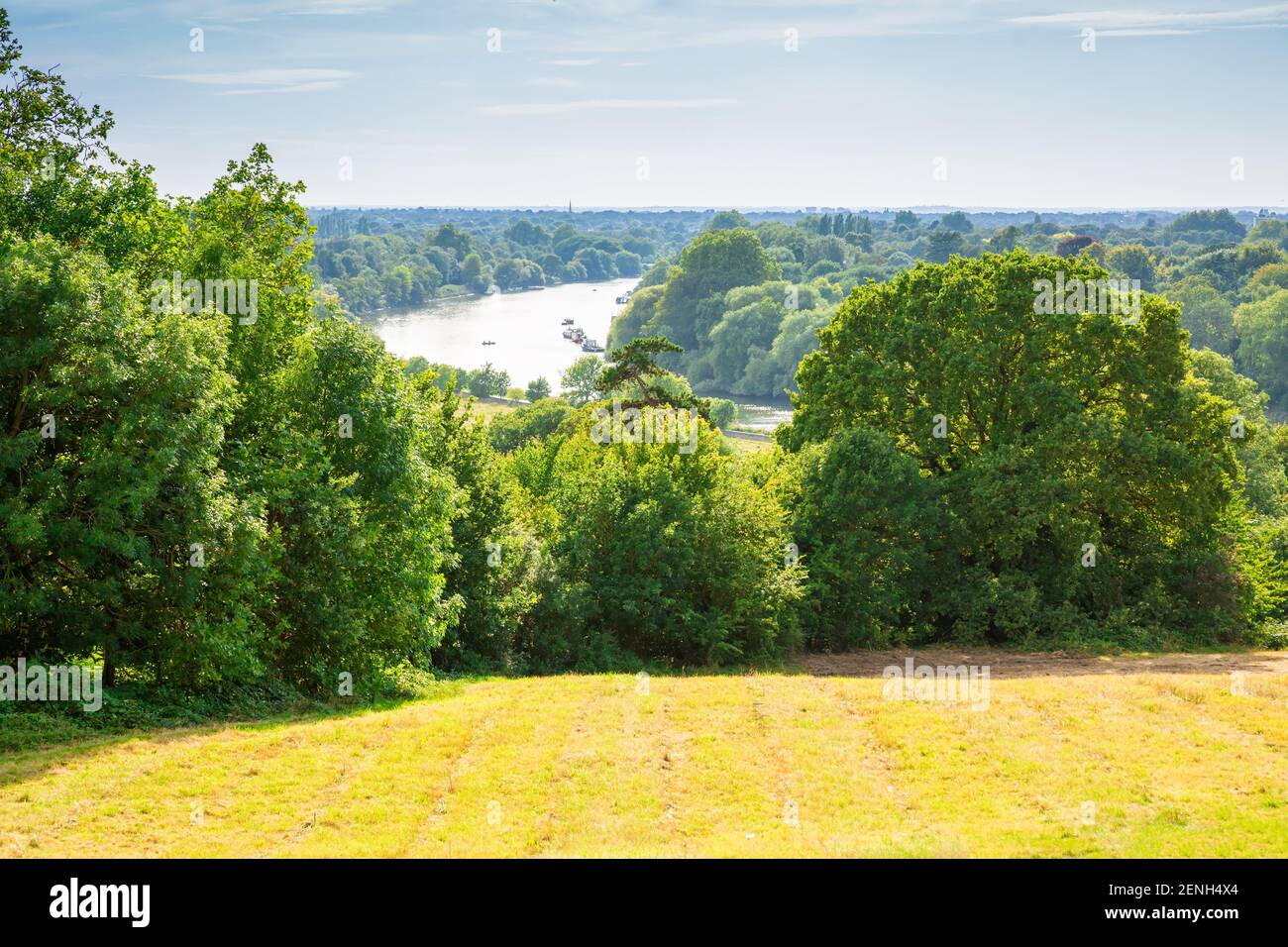 View of Thames river from Richmond Park, UK. Landscape with trees and field in sunny summer day. Stock Photo
