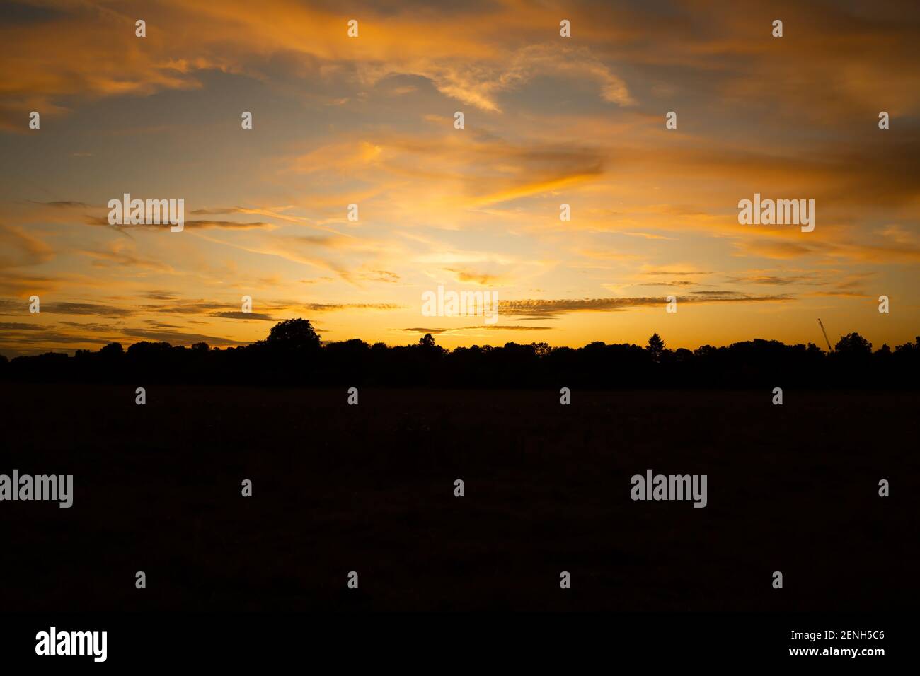 Beautiful sunset with golden clouds in sky over the Richmond Park, London, UK. Stock Photo