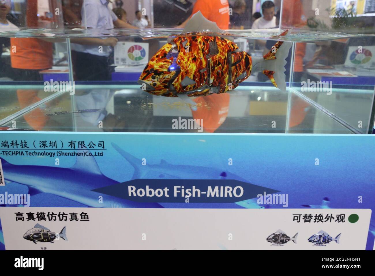A robot Fish-Miro developed by Hi-Techpia Technology (Shenzhen) Co., Ltd.  is displayed during the 2019 Word Robot Conference (WRC) in Beijing, China,  20 August 2019. The 2019 Word Robot Conference (WRC) was