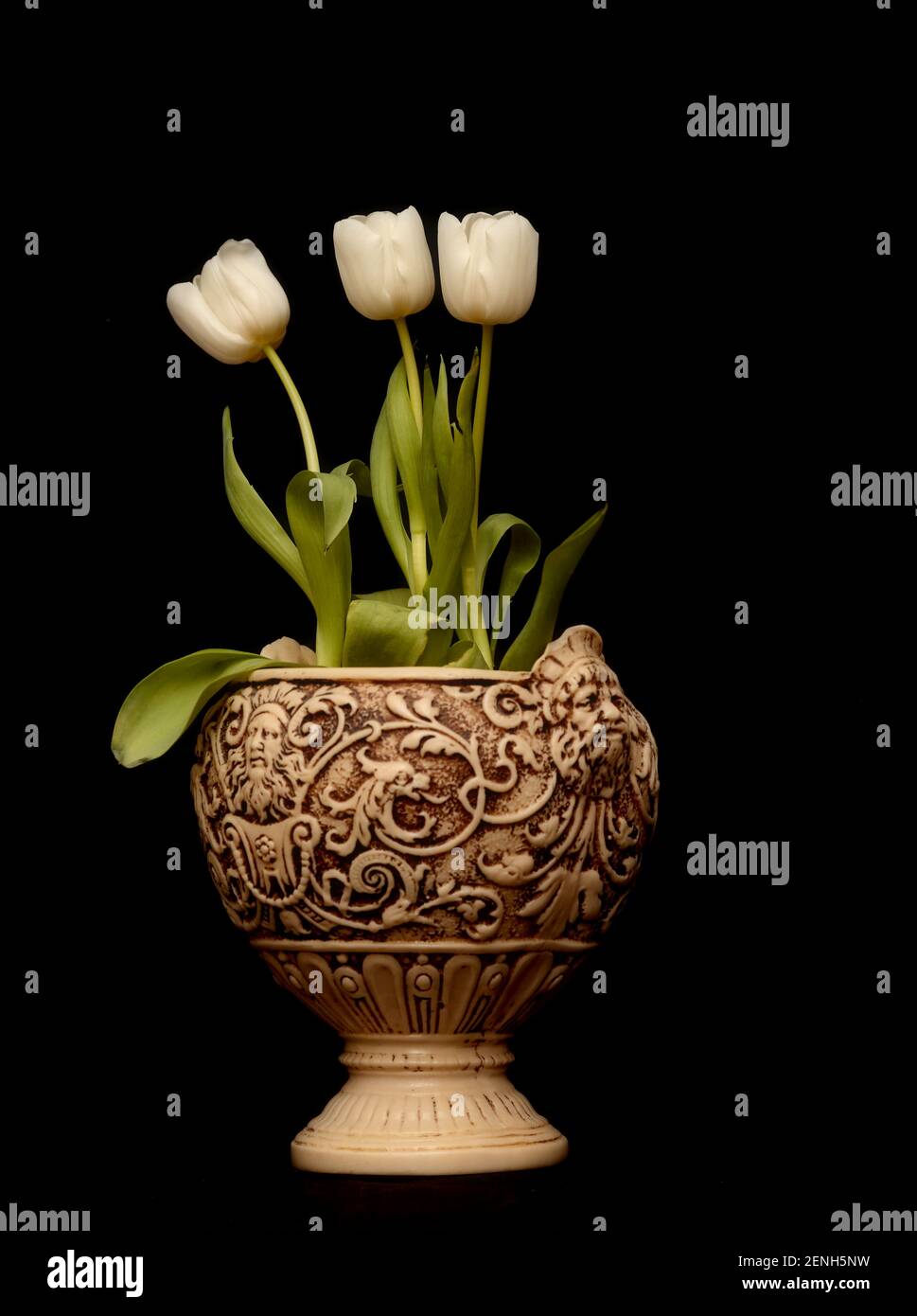 Tulips in an old figured vase with black background Stock Photo