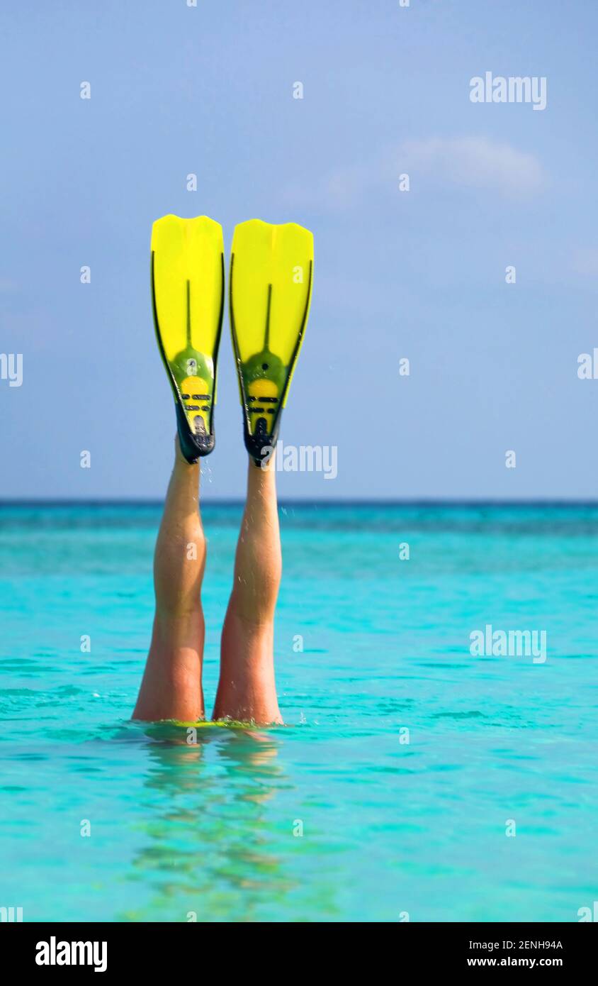 Tauchen im Urlaub, Beine mit Schwimmflosen schauen aus dem Wasser, Karibik  Stock Photo - Alamy