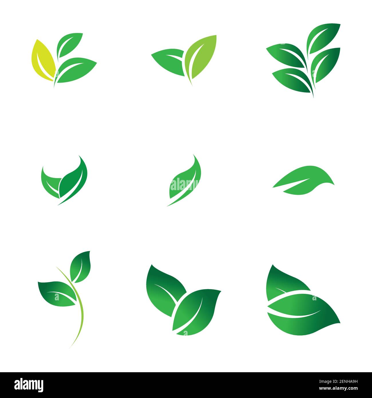 green leaf logo set vector illustration design template Stock Vector ...