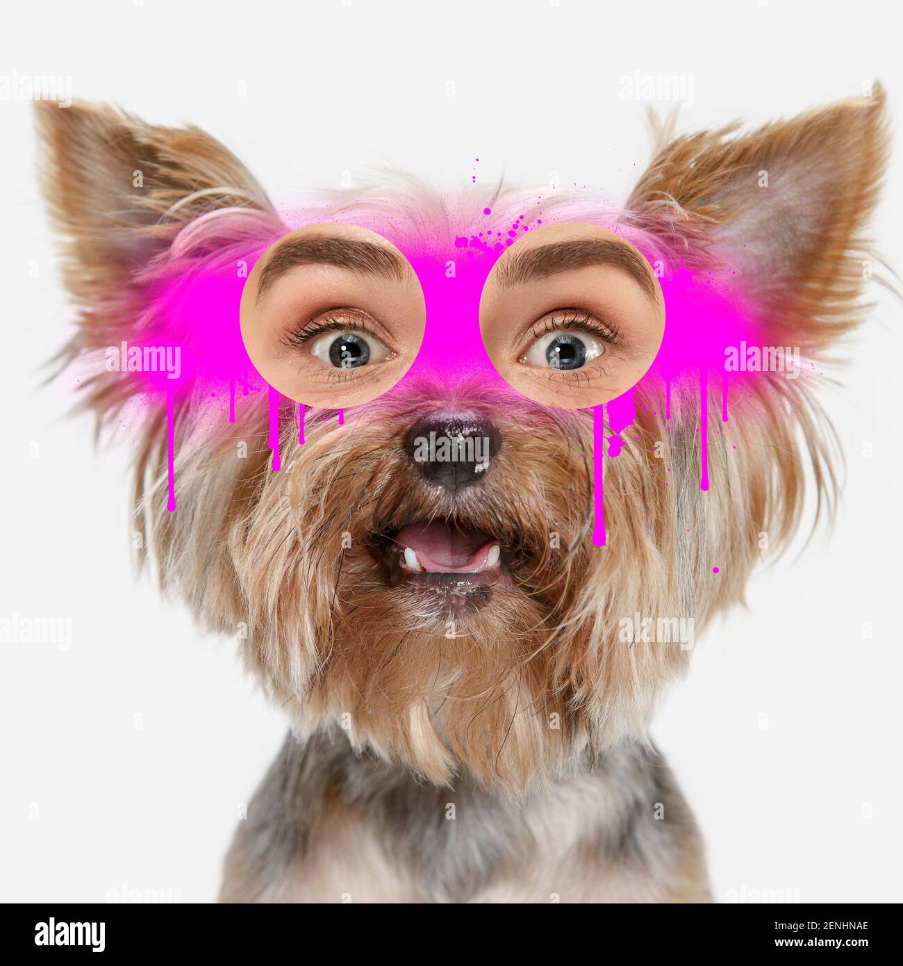 dog-with-human-eyes